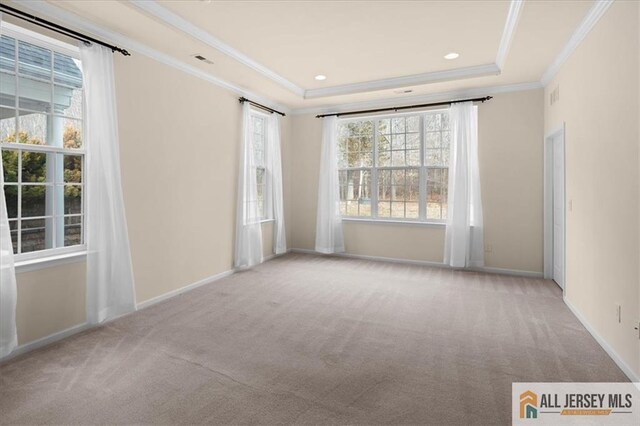 carpeted empty room featuring crown molding and a tray ceiling