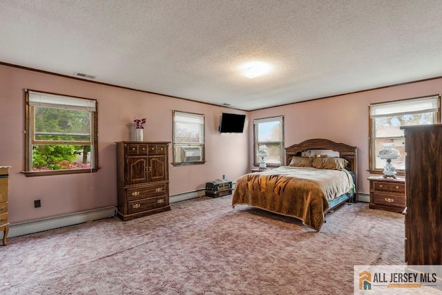 14 Fisher Ave, Middlesex, NJ 08846 - carpeted bedroom featuring a baseboard radiator, a textured ceiling, and multiple windows