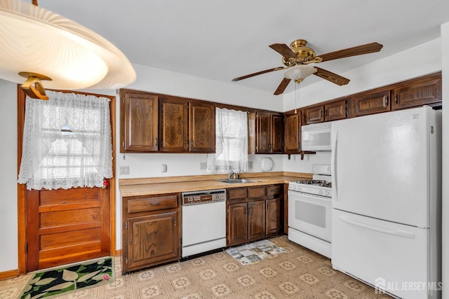 kitchen featuring white appliances, a sink, a ceiling fan, light countertops, and dark brown cabinets
