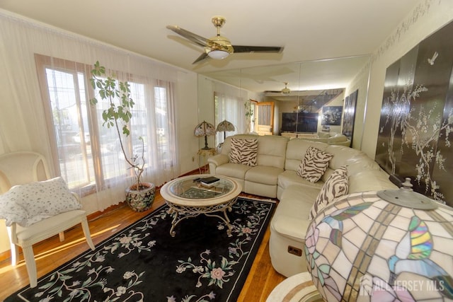 35 Barkalow St, South Amboy, NJ 08879 - living area with wood finished floors and ceiling fan