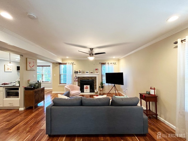 196 Jonathan Pl, Franklin Twsp, NJ 08873 - living room with a ceiling fan, wood finished floors, a stone fireplace, plenty of natural light, and ornamental molding