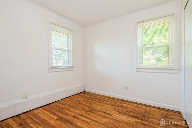 155 Summers Ave, Piscataway, NJ 08854 - photo 10