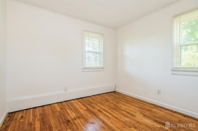 155 Summers Ave, Piscataway, NJ 08854 - photo 9