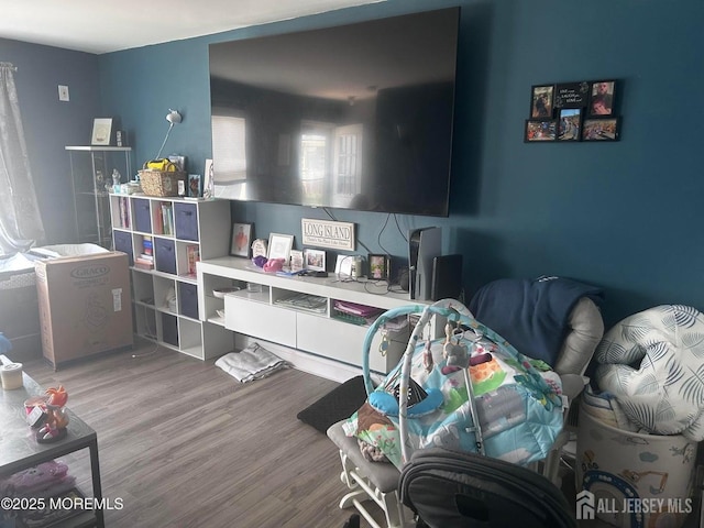 13 Haag St, Sayreville, NJ 08872 - living room featuring light wood-style floors
