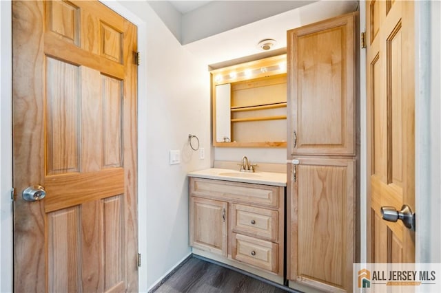 bathroom with vanity and wood-type flooring