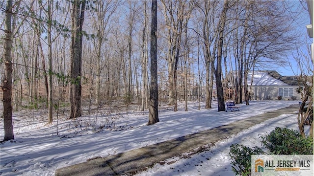 view of yard covered in snow