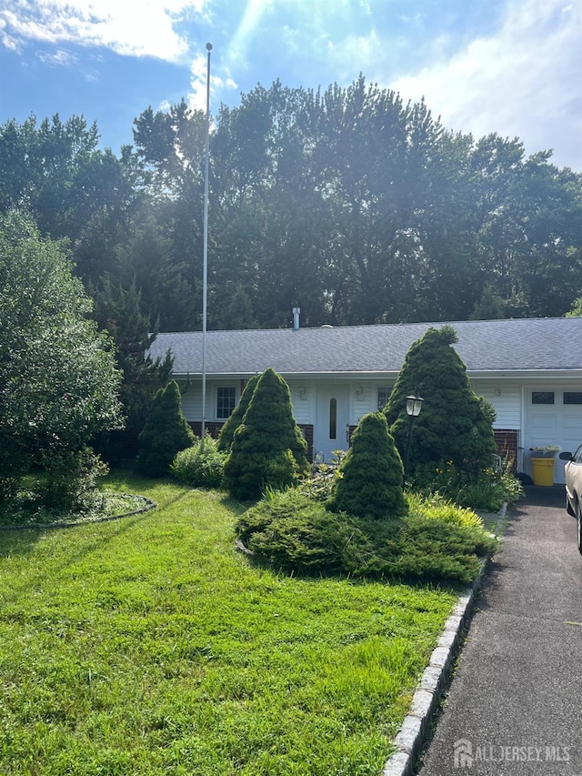 3 Delsey Rd, South Brunswick, NJ 08824 - photo 1