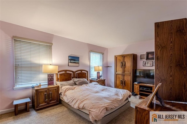 64 Netherwood Cir, Edison, NJ 08820 - bedroom featuring light colored carpet