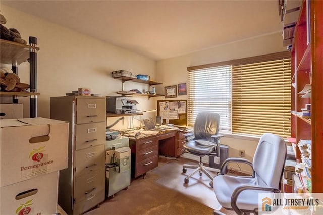 64 Netherwood Cir, Edison, NJ 08820 - office with carpet flooring