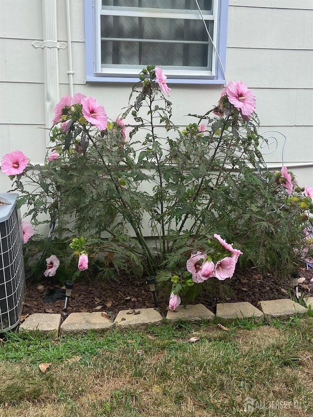 exterior details with central AC