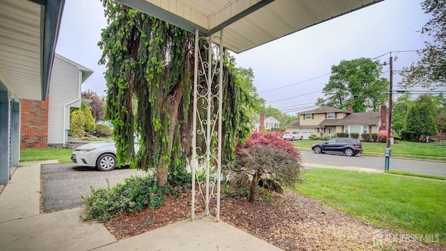 view of green lawn