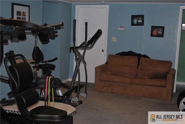 workout room with carpet flooring