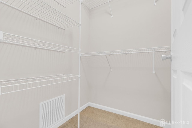 1206 Fir Ct, Franklin Twsp, NJ 08873 - walk in closet with carpet