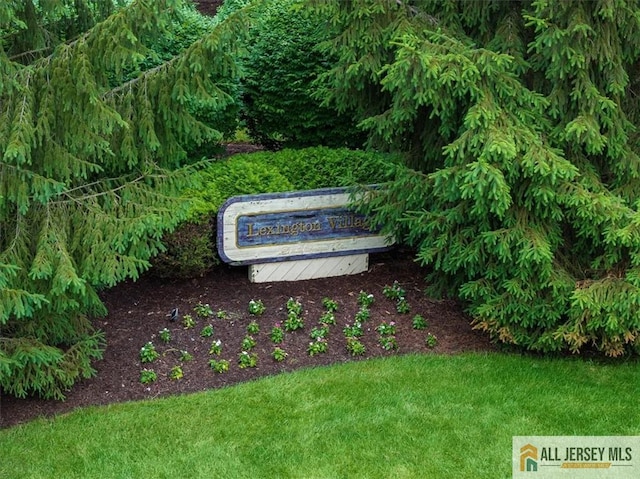 6 Morton Ct, East Brunswick, NJ 08816 - photo 45
