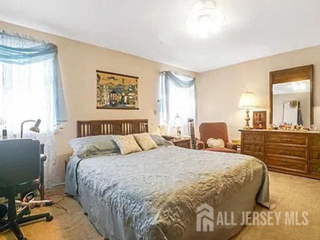 29 Jeffrey Cir S, Brunswick, NJ 08810 - bedroom with multiple windows and carpet floors
