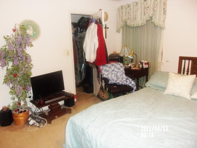 29 Jeffrey Cir S, Brunswick, NJ 08810 - bedroom featuring carpet flooring, a spacious closet, and a closet