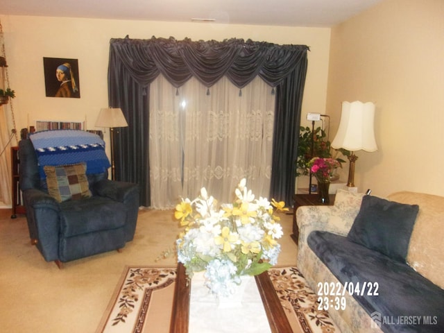 29 Jeffrey Cir S, Brunswick, NJ 08810 - view of carpeted living area