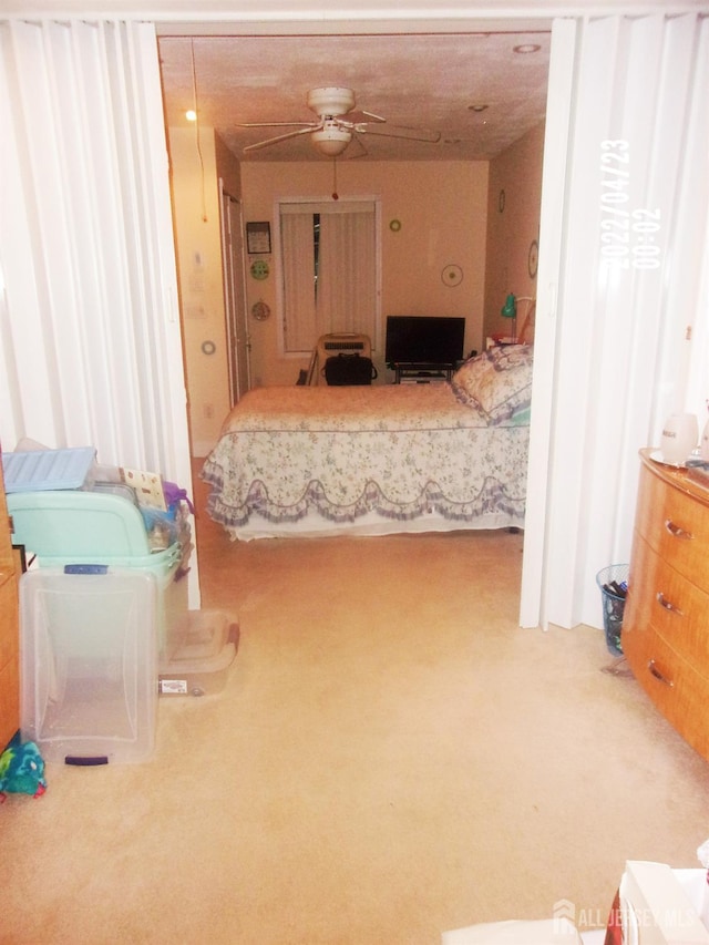 29 Jeffrey Cir S, Brunswick, NJ 08810 - view of carpeted bedroom