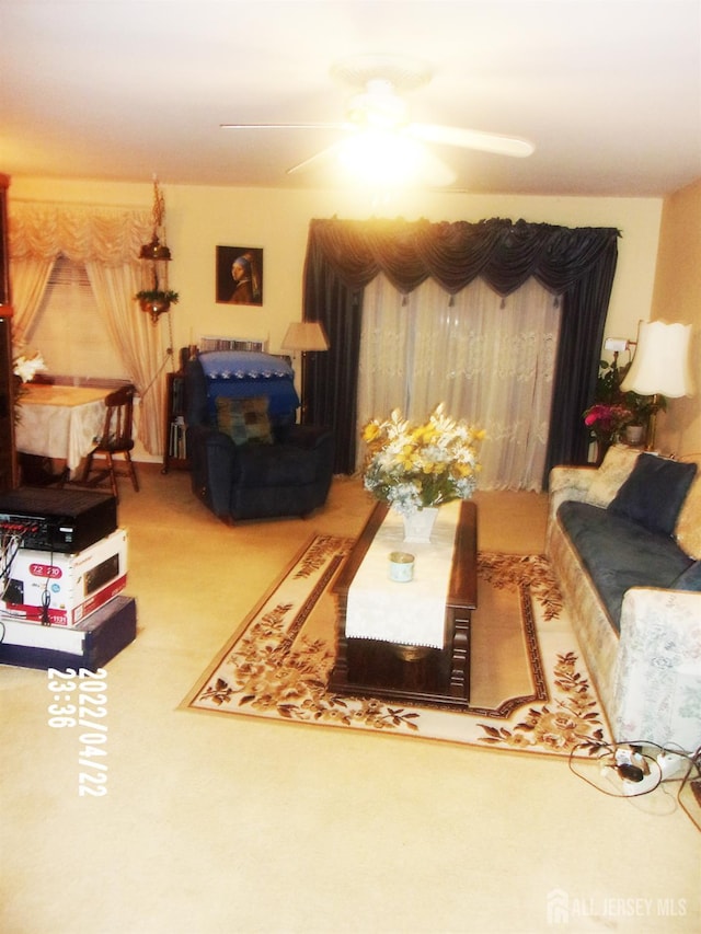 29 Jeffrey Cir S, Brunswick, NJ 08810 - living area with a ceiling fan