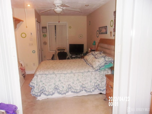29 Jeffrey Cir S, Brunswick, NJ 08810 - view of carpeted bedroom