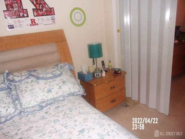 29 Jeffrey Cir S, Brunswick, NJ 08810 - bedroom featuring carpet floors