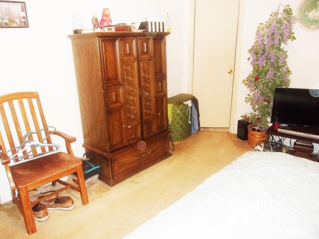 29 Jeffrey Cir S, Brunswick, NJ 08810 - living area with carpet floors
