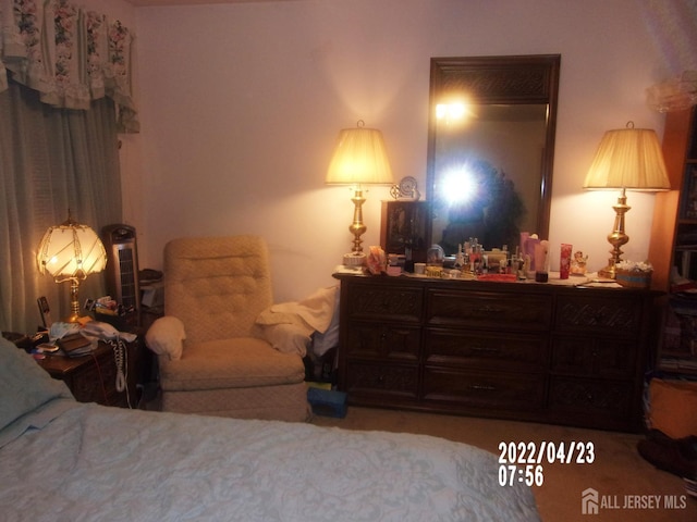 29 Jeffrey Cir S, Brunswick, NJ 08810 - view of carpeted bedroom