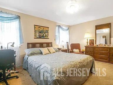 29 Jeffrey Cir S, Brunswick, NJ 08810 - bedroom featuring multiple windows