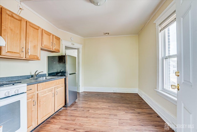 151 N Broadway N, South Amboy, NJ 08879 - kitchen with white range with gas cooktop, light brown cabinetry, crown molding, light wood finished floors, and dark countertops