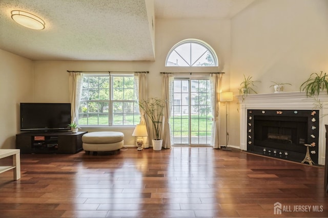 349 Lunar Rd, Piscataway, NJ 08854 - living area featuring wood finished floors, healthy amount of natural light, a fireplace with flush hearth, and a textured ceiling