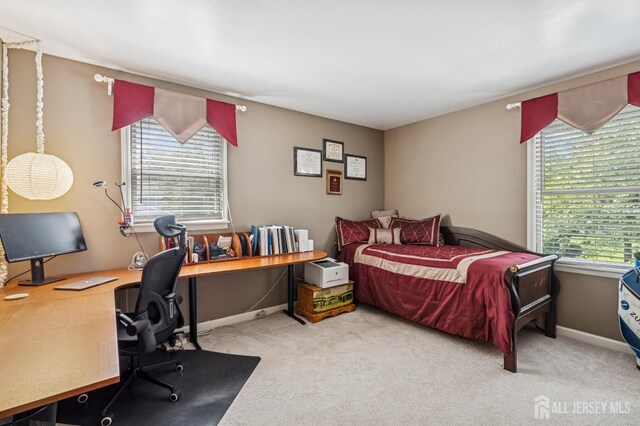 77 Parker Rd, Plainsboro, NJ 08536 - photo 32