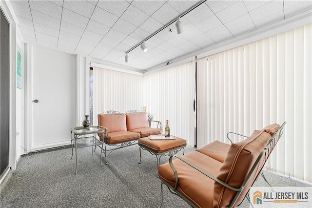 33 Haddon Rd Unit 33A, Monroe, NJ 08831 - sitting room featuring rail lighting, carpet flooring, and healthy amount of natural light