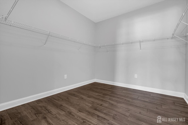 spacious closet featuring dark wood finished floors