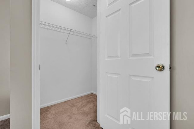 84 Prestwick Way, Edison, NJ 08820 - view of closet