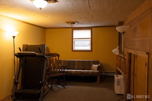 interior space featuring crown molding, carpet, and baseboard heating