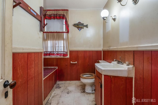 bathroom featuring toilet, wooden walls, and vanity