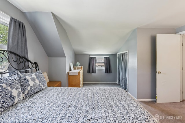 30 Clark Pl, Avenel, NJ 07001 - carpeted bedroom with multiple windows and vaulted ceiling