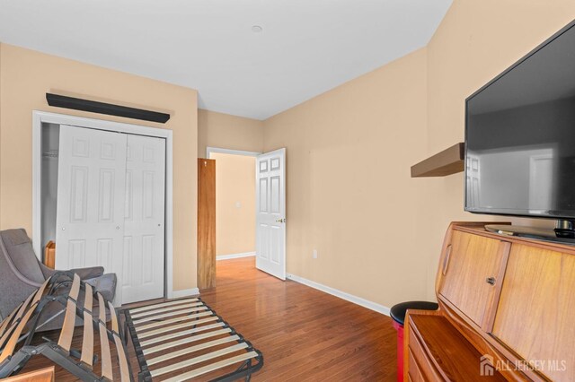 living area featuring wood-type flooring