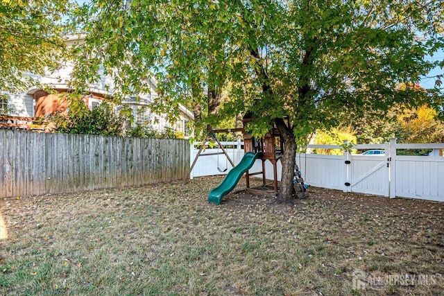 view of jungle gym