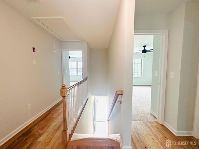 57 Wooley St, Aberdeen, NJ 07747 - photo 12