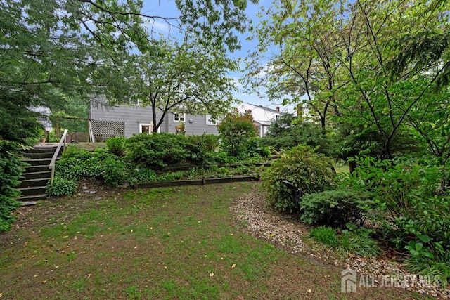 38 Foothills Dr, South River, NJ 08882 - view of yard