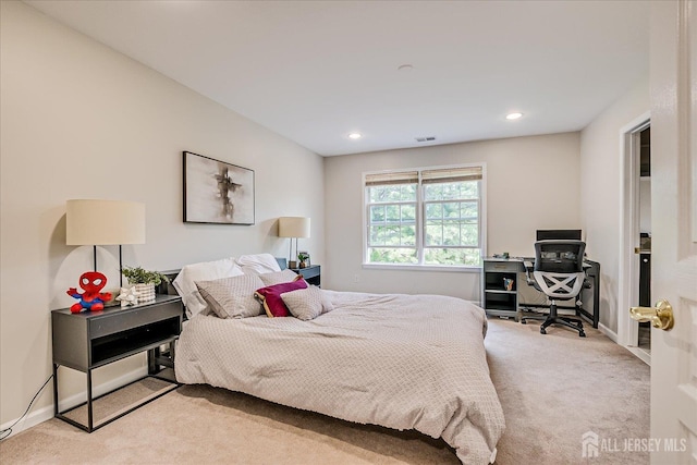37 Equestrian Way, Monroe, NJ 08831 - bedroom with carpet, recessed lighting, and baseboards