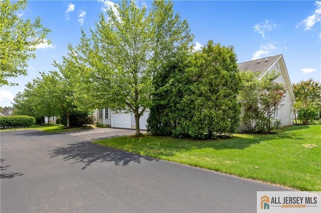 11 Liedtke Dr, Cranbury, NJ 08512 - photo 24