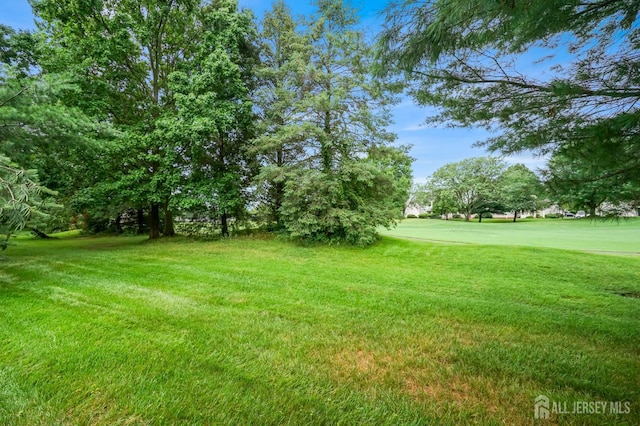 32 Rutland Ln, Monroe, NJ 08831 - photo 25