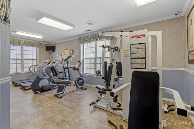 1905 Dahlia Cir S, Brunswick, NJ 08810 - exercise room featuring healthy amount of natural light and ornamental molding