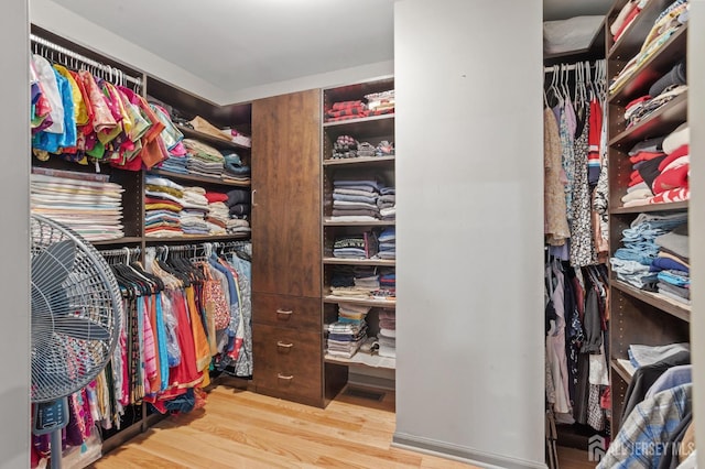 1905 Dahlia Cir S, Brunswick, NJ 08810 - walk in closet featuring wood finished floors