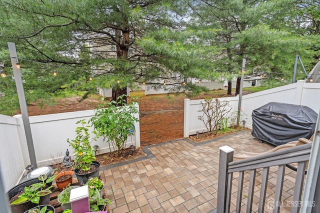 1905 Dahlia Cir S, Brunswick, NJ 08810 - fenced backyard featuring a patio area and grilling area