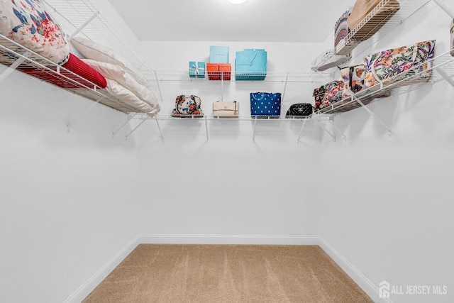 10 E Black Heath Ct, Howell, NJ 07727 - spacious closet featuring carpet floors