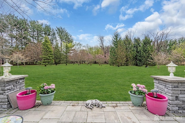 10 E Black Heath Ct, Howell, NJ 07727 - view of grassy yard with a patio