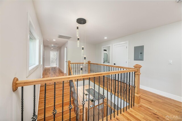 corridor with hardwood / wood-style flooring and electric panel